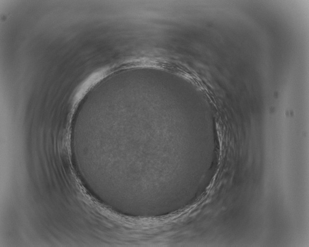 X0000067500006200604101242