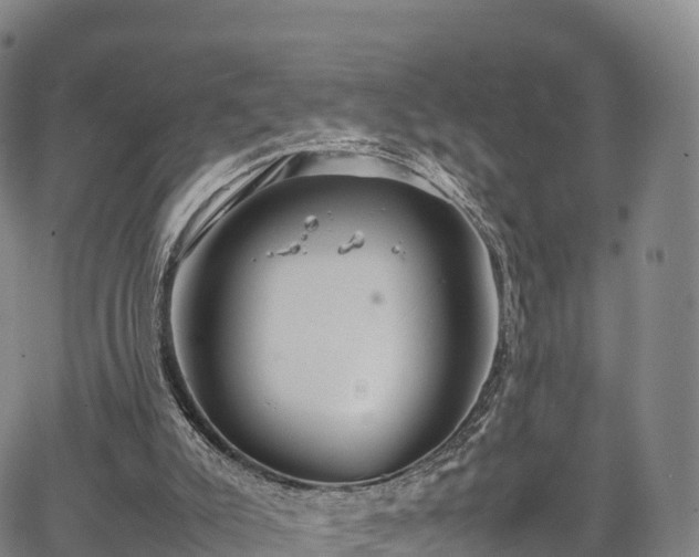 X0000067500007200604101242