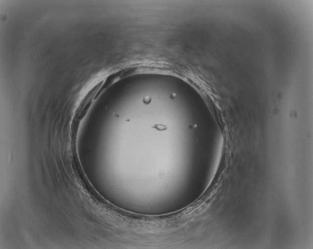 X0000067500008200604101242