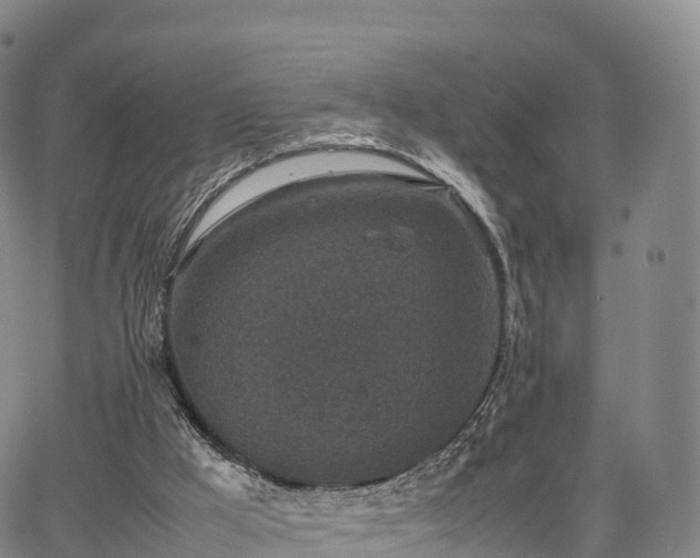 X0000067500009200604101242