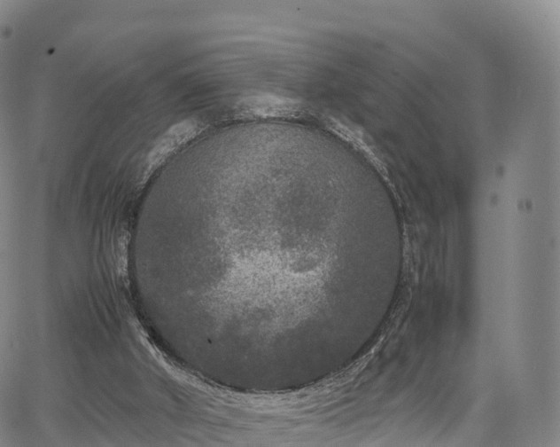 X0000067500010200604101242