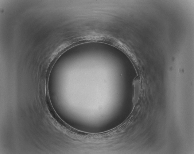 X0000067500011200604101242