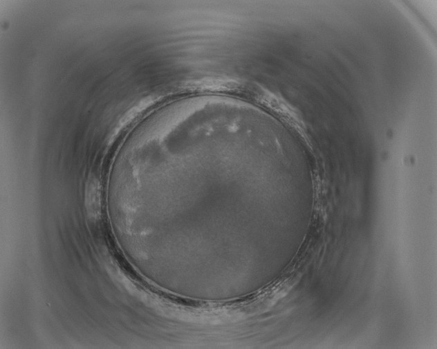 X0000067500012200604101242