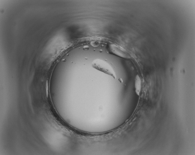 X0000067500013200604101242