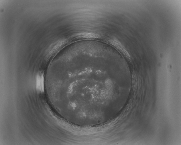 X0000067500014200604101242