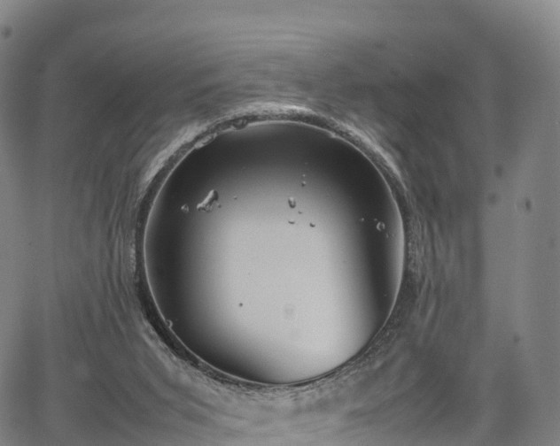 X0000067500015200604101242