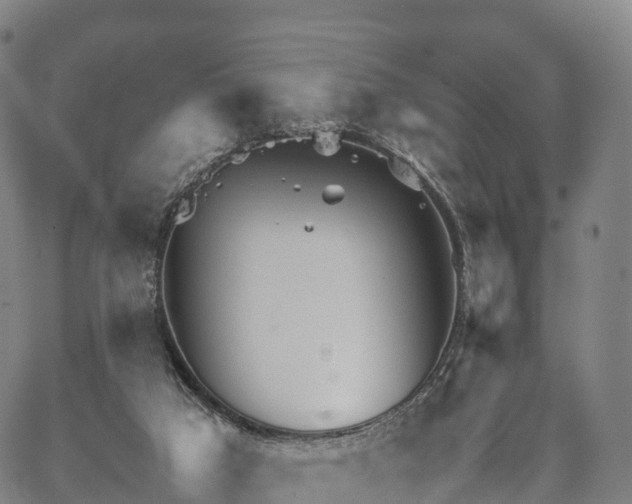 X0000067500017200604101242