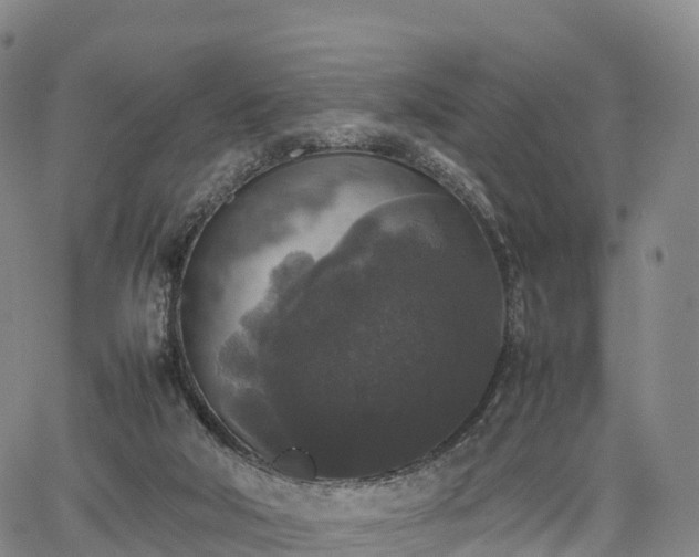 X0000067500018200604101242