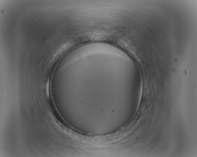 X0000067500019200604101242