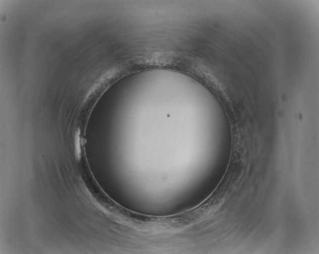 X0000067500020200604101242