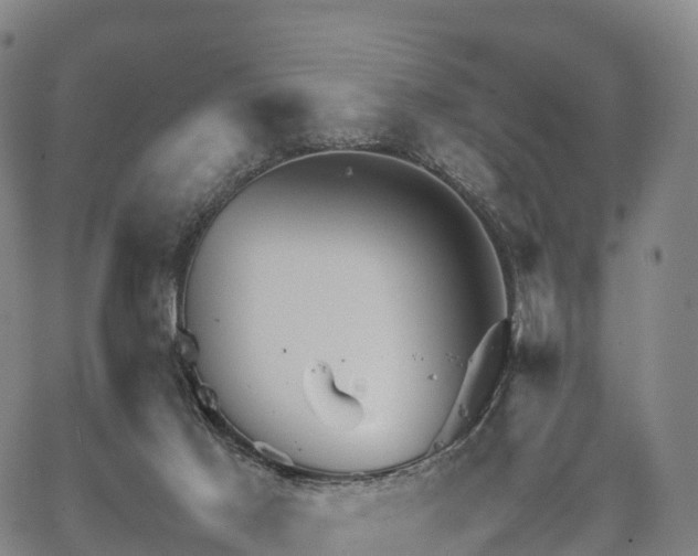 X0000067500021200604101242