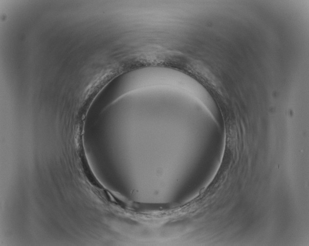 X0000067500023200604101242