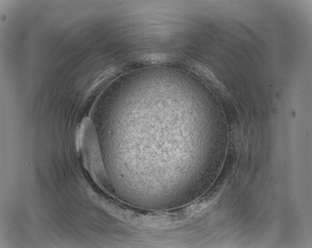 X0000067500024200604101242