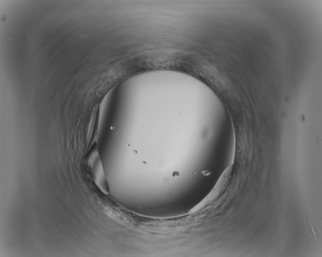 X0000067500025200604101242