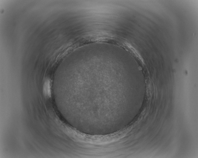 X0000067500026200604101242