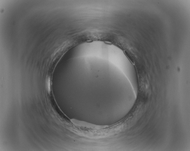 X0000067500027200604101242