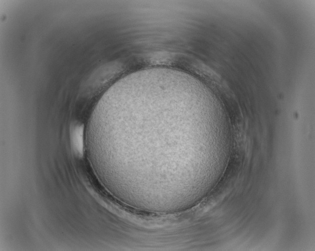 X0000067500028200604101242