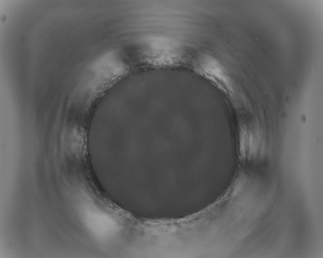 X0000067500029200604101242