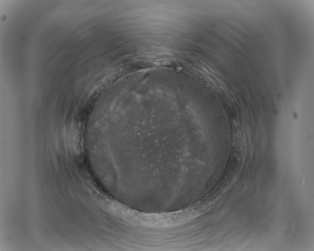 X0000067500030200604101242