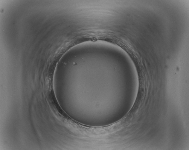 X0000067500031200604101242