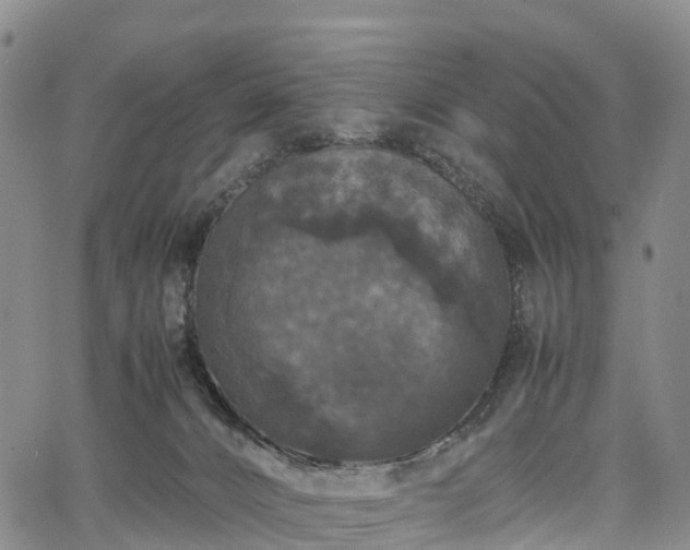 X0000067500032200604101242