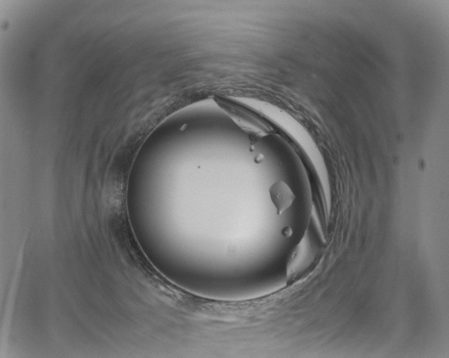 X0000067500033200604101242