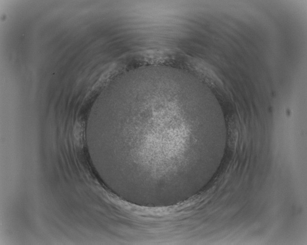 X0000067500034200604101242