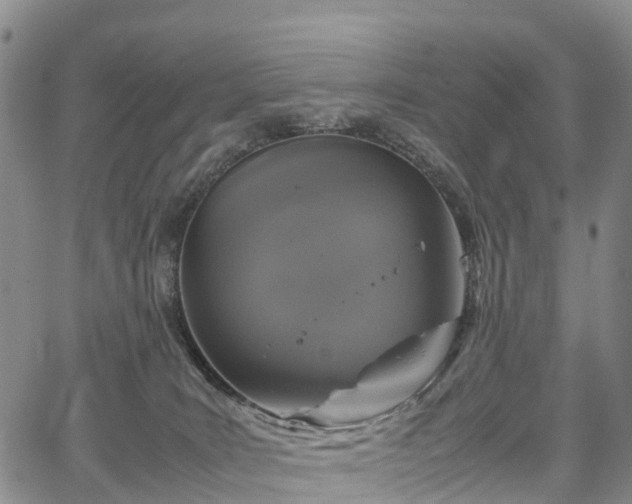 X0000067500035200604101242