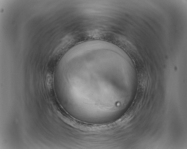 X0000067500036200604101242