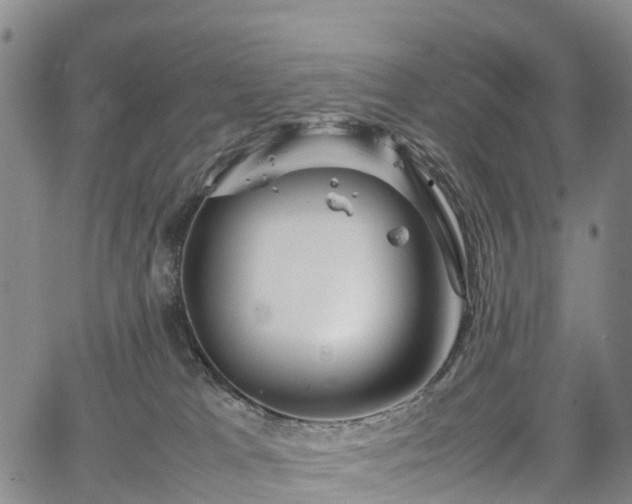 X0000067500037200604101241