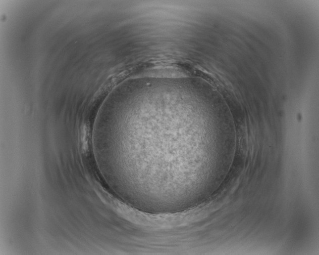 X0000067500038200604101241