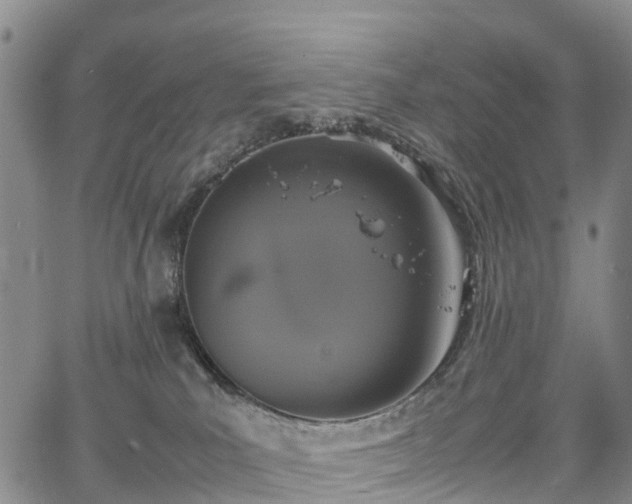 X0000067500039200604101241