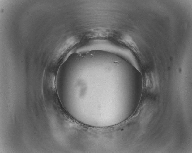 X0000067500041200604101241