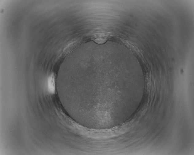 X0000067500042200604101241