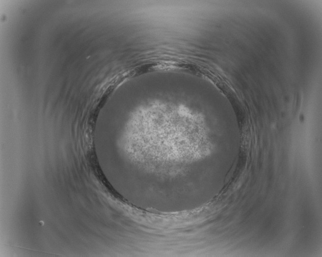 X0000067500043200604101241