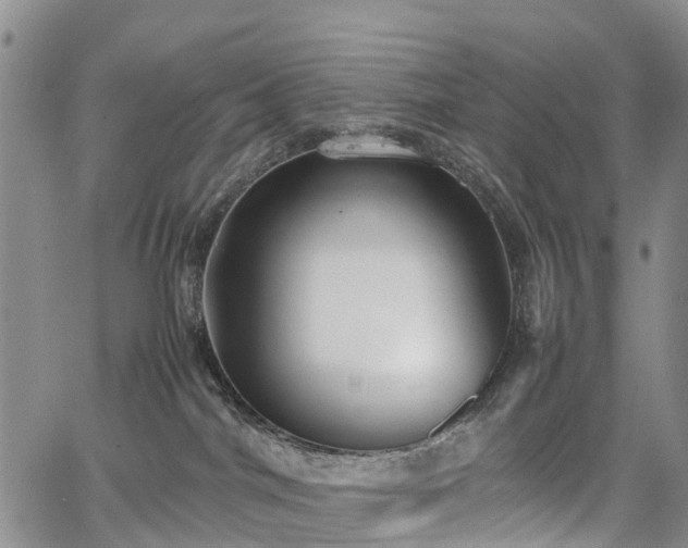 X0000067500044200604101241