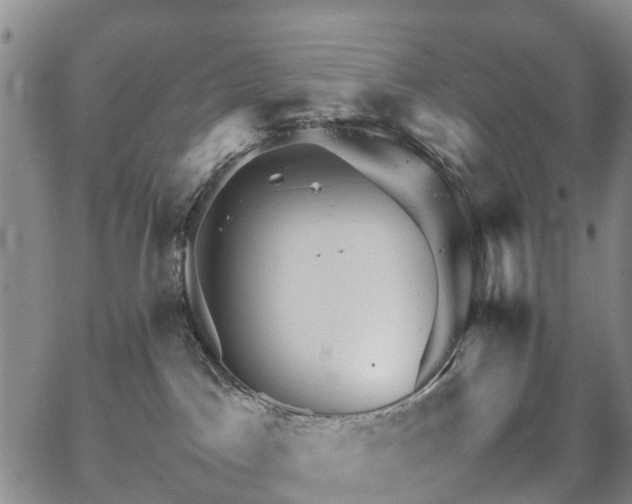 X0000067500045200604101241