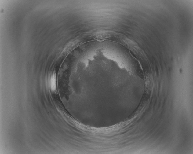 X0000067500046200604101241