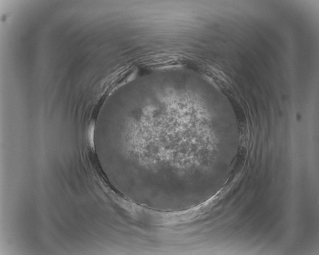 X0000067500047200604101241