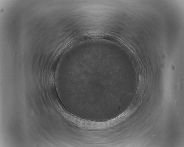 X0000067500048200604101241