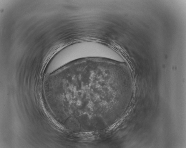 X0000067500049200604101241