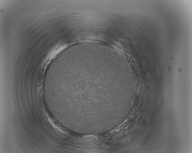 X0000067500050200604101241