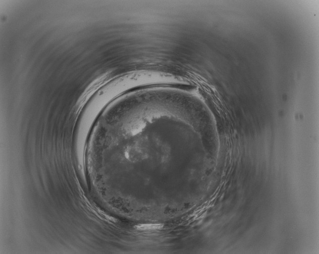 X0000067500051200604101241