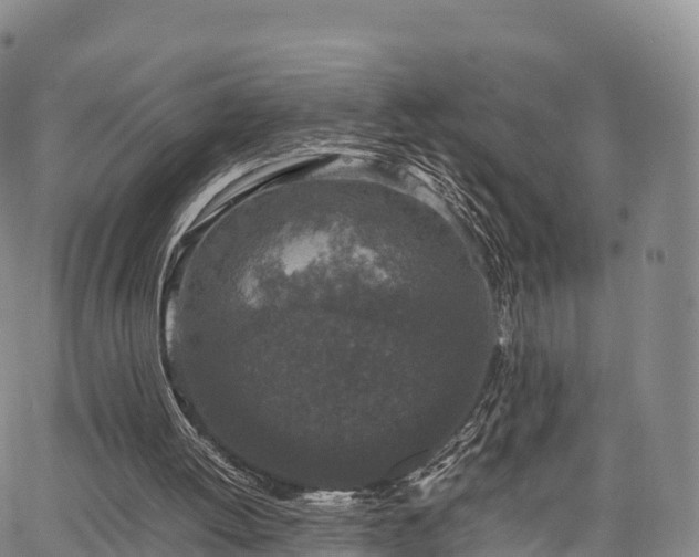 X0000067500052200604101241