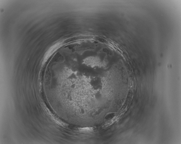 X0000067500053200604101241