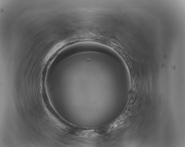 X0000067500054200604101241