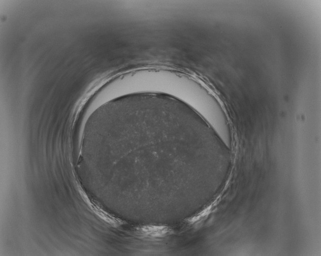 X0000067500055200604101241