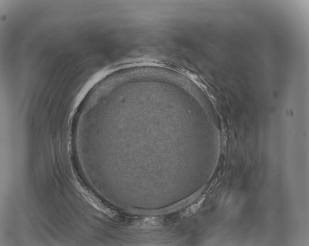 X0000067500056200604101241