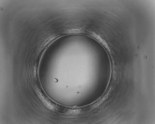 X0000067500057200604101241