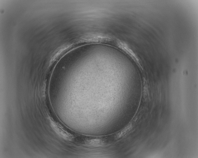 X0000067500058200604101241